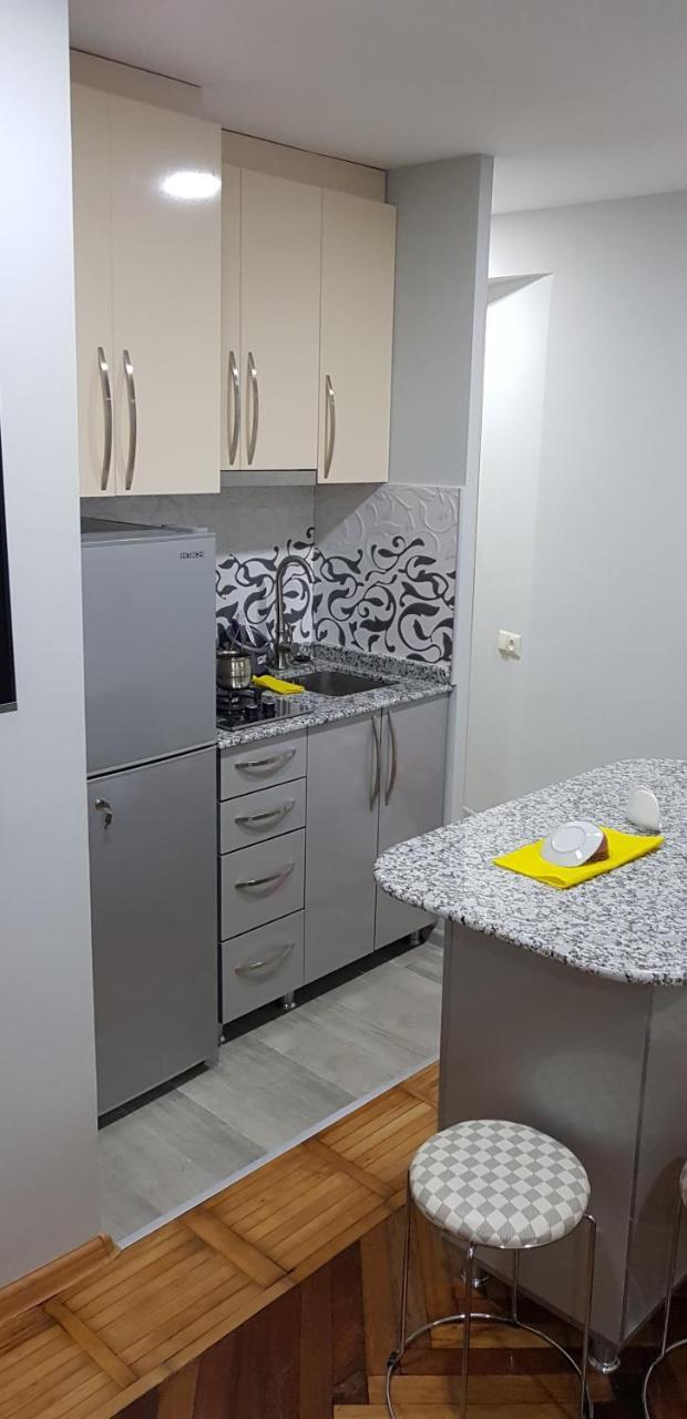 Apartament Shushana 바투미 외부 사진